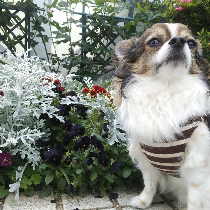 81019e61 59d4 469e 9f02 23e35895dba6