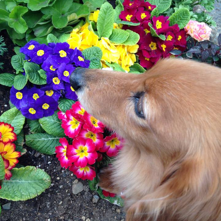 8101a772 dcca 4cc9 be12 f0d6994b5867