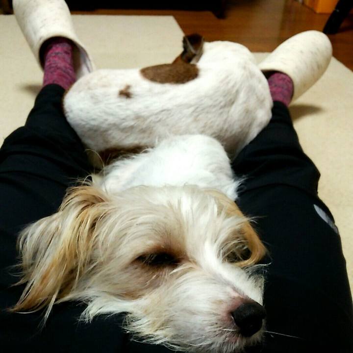 8101bb84 605a 4fc3 9282 849c2dc61fbd