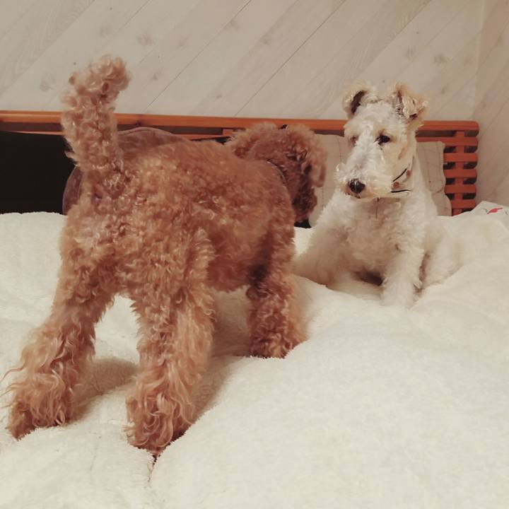 81028247 15ba 4690 a19e d87800b4f8e6