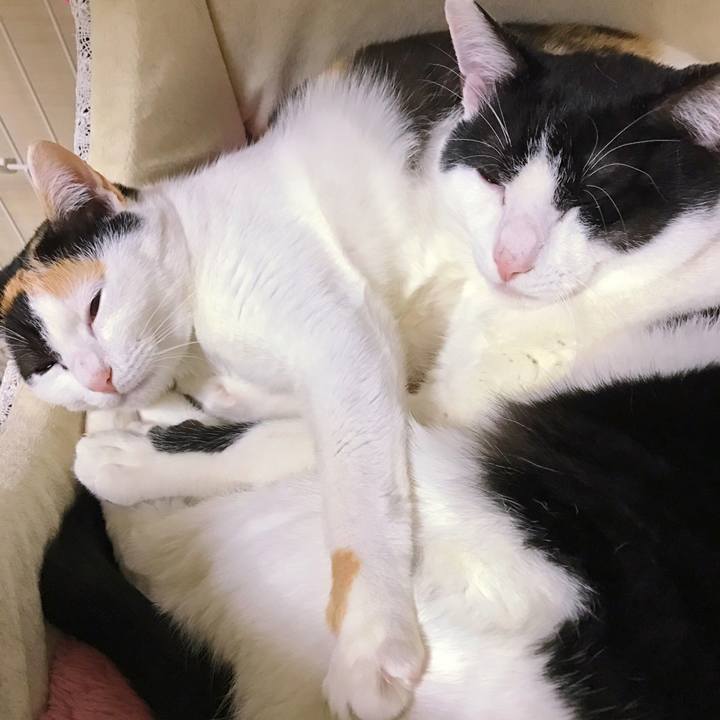 8103b5c3 9550 433a a914 0a14283c98aa