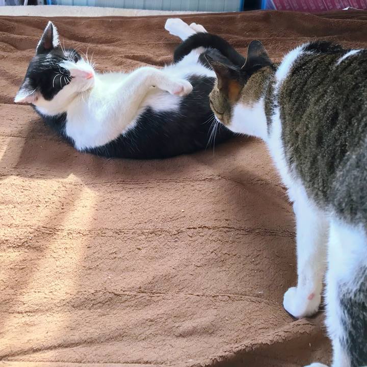 81043da0 dc09 4d6a 8c91 466ce88f2df4