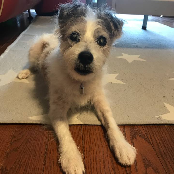 8104d3a0 bf9a 47bc 9e9d 1923bf295d94