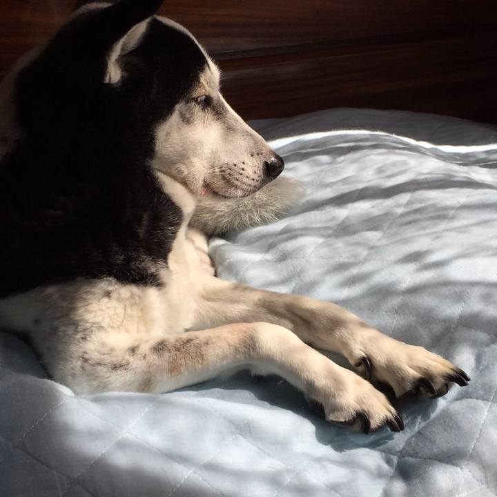 810531ec 5fe1 45ee b9e8 345ba47f138c