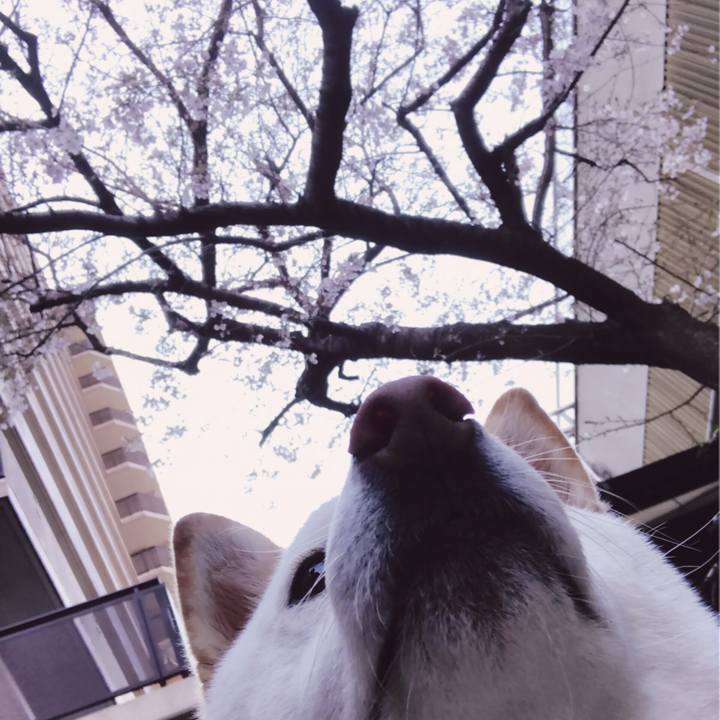 81056dcb 78d8 45aa a3cc f8219e59e07f