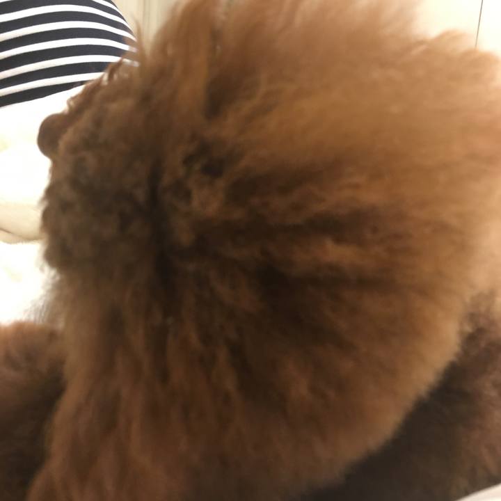 81063e55 8dfd 4406 9127 8b089d4ae3a9