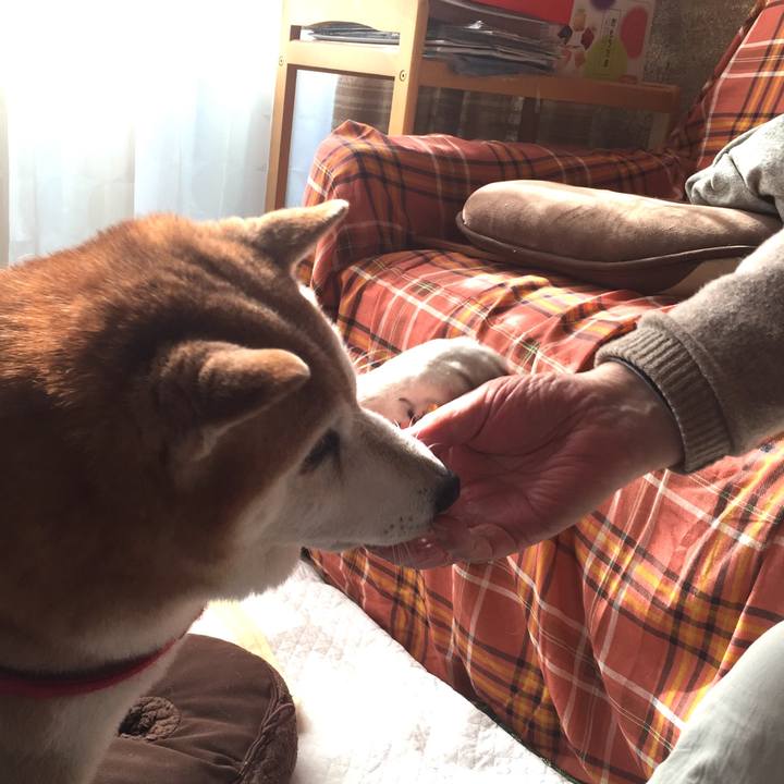 81066167 acd1 41a1 93af 7ed11d013e07