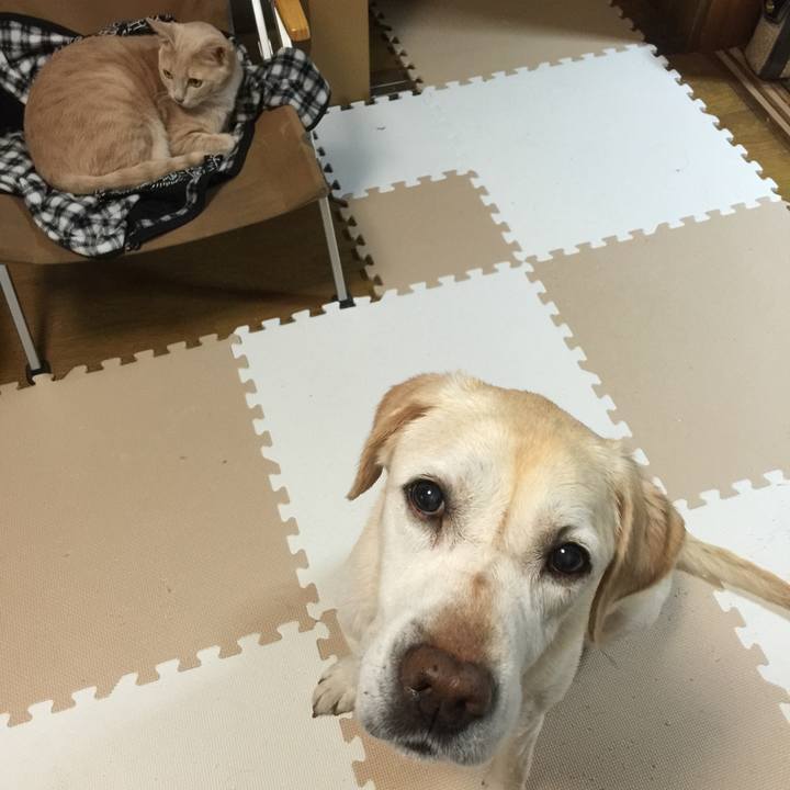 81068896 18c6 4195 af19 70f56943a8ae