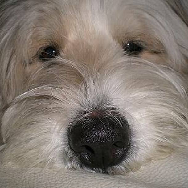 810725ef 1749 4bdf a6c6 efdae44d64ad