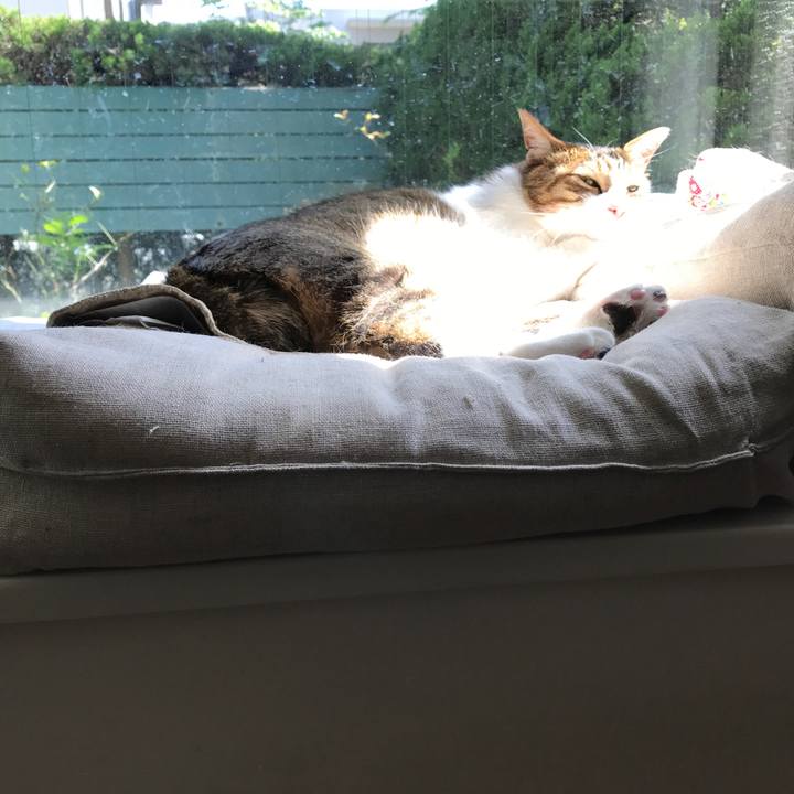 81079f6b e5f1 4f79 a583 1208ae879a6c