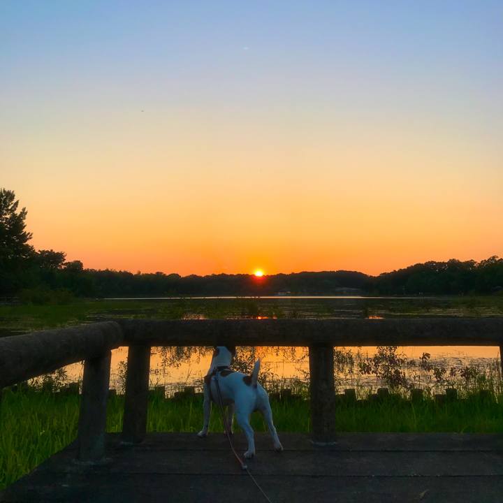 8107dc99 07b3 48d0 9a70 a2baf7eb88c8