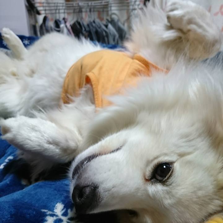 8107e3e6 00ad 448b a44b 5349ecedf134