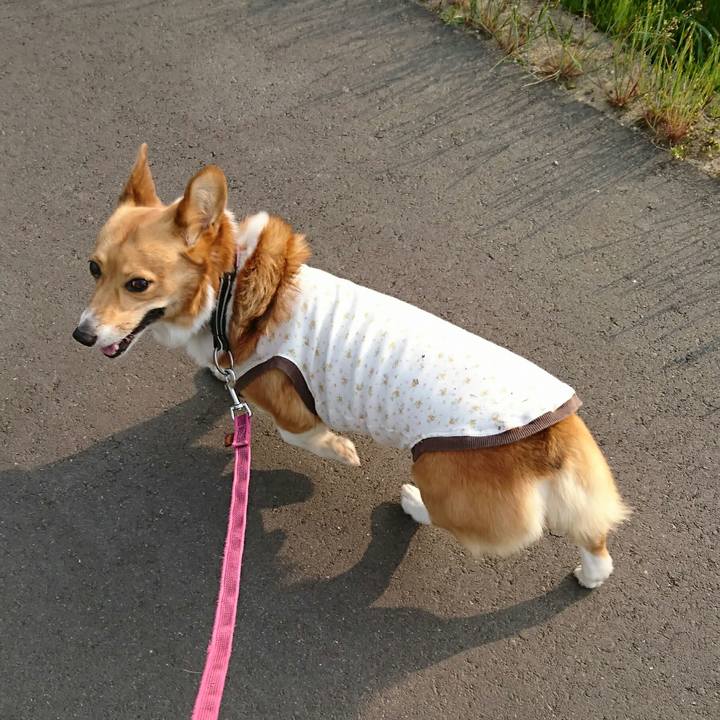 8107ee3b d8dd 4066 919d 9fb240bcdeda