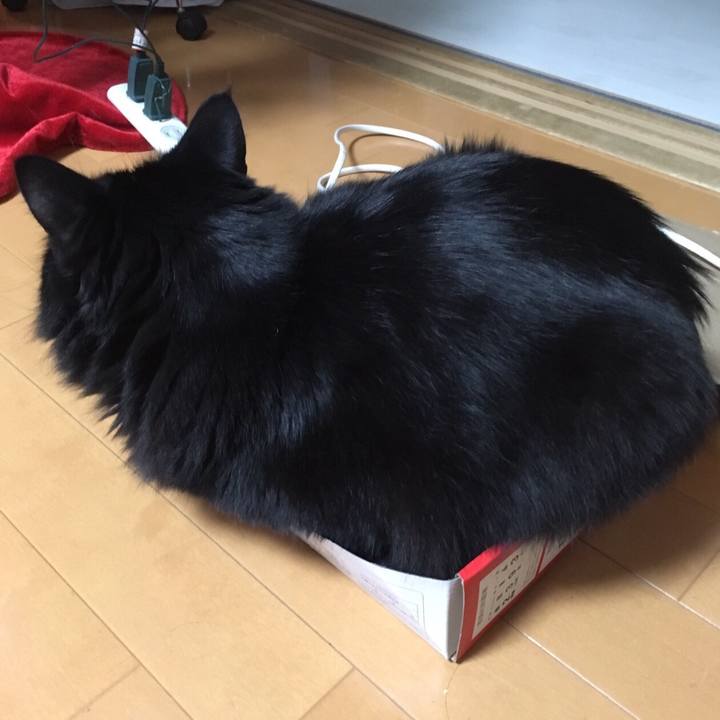 81085c7c a6f6 4142 ac4f 35eb7823371a