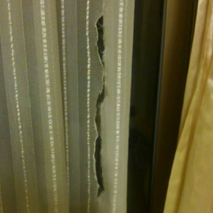 8109600d b608 4c47 9cdf b747b332874b