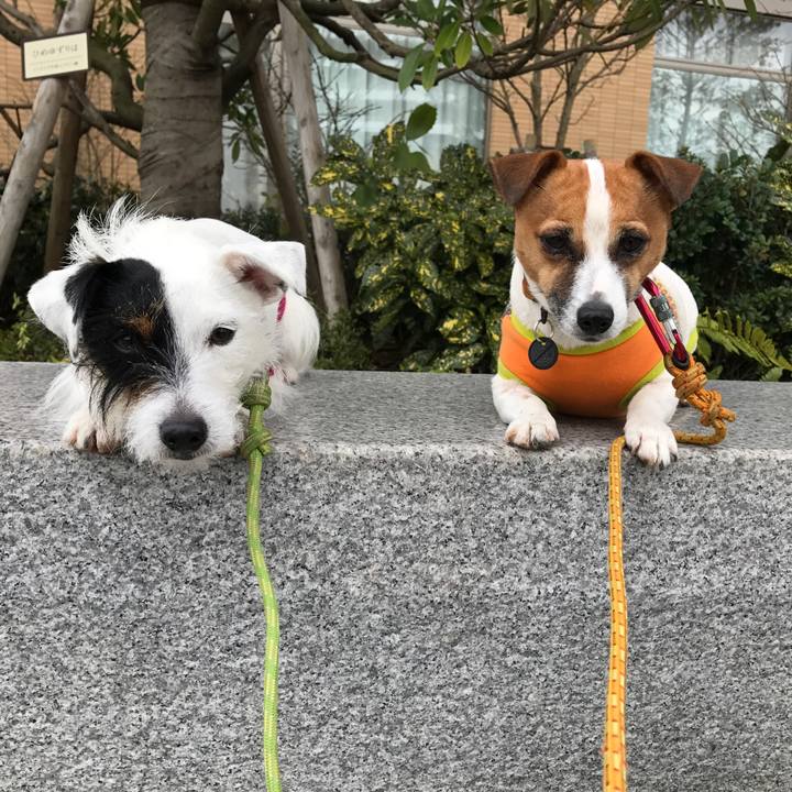 8109907b b48d 42b4 b9b0 babbe92491ca