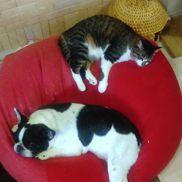 810a189d b429 4125 8d43 7a8871a5ed42