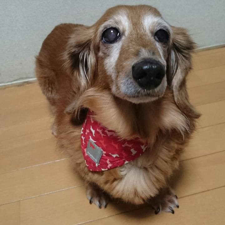 810aaf69 60e3 448b bd05 12a707d44472