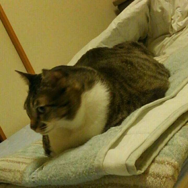 810aced0 859f 445a bbd7 5dd16f03b0e4