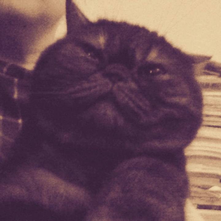 810b527f 0e53 4797 9780 a1e126a4b862