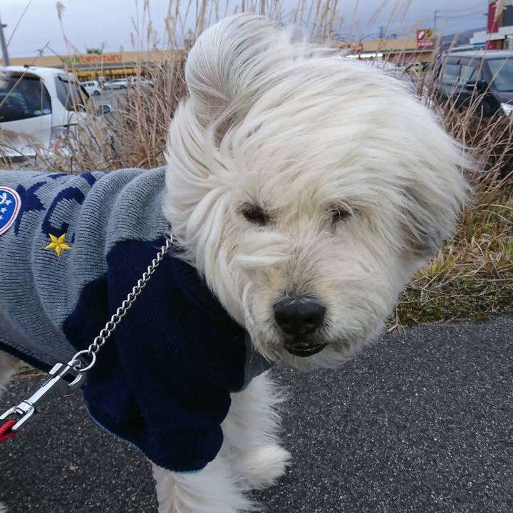 810b8588 f66e 4e64 b0d9 9eca8386ff40