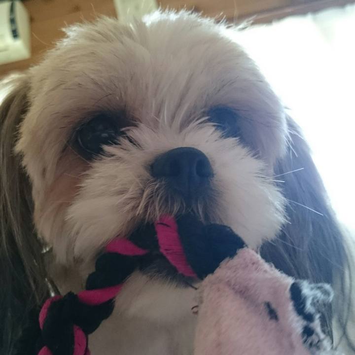 810bd6d6 f6ee 4407 a233 dfd6052da9e9