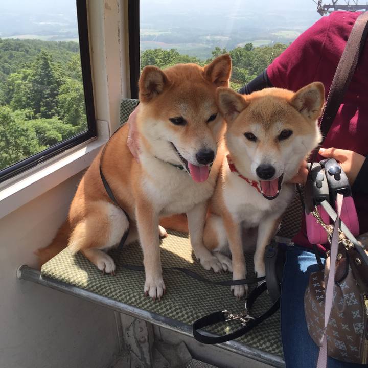 810c0502 d970 4568 9c70 ae62d359aa2f