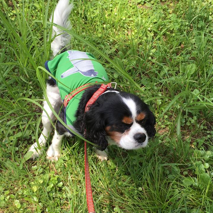 810dc15d f7b1 4d1a b6a9 2f45aea99949