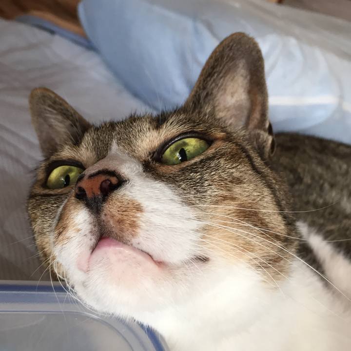 810df1b2 b043 412c ae2b 37a6d7b50298