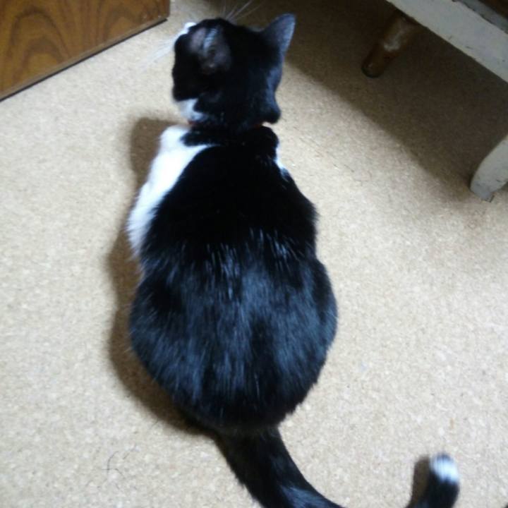 810e5e4d a4ad 4cb7 bc4a 7863a59e605b