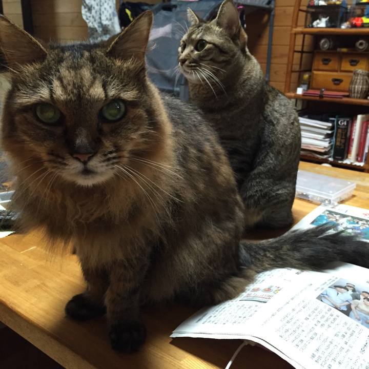 810e9253 c5d2 46bd 97ef 51d237ea72f3