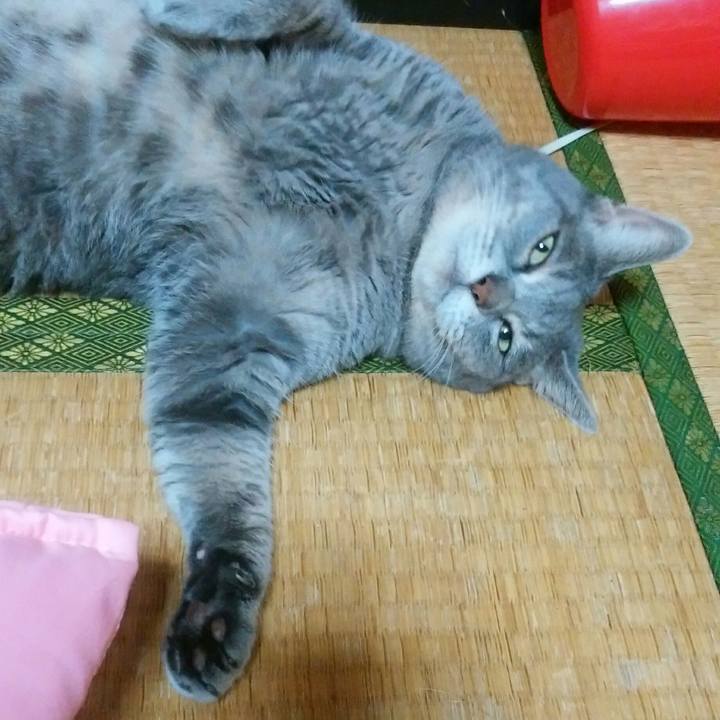 810efab5 a11f 4e34 9b3a 28ccce89cd9b