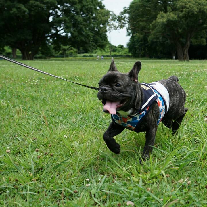 810f1193 a39d 4d00 a8c1 4be3b4f3be82