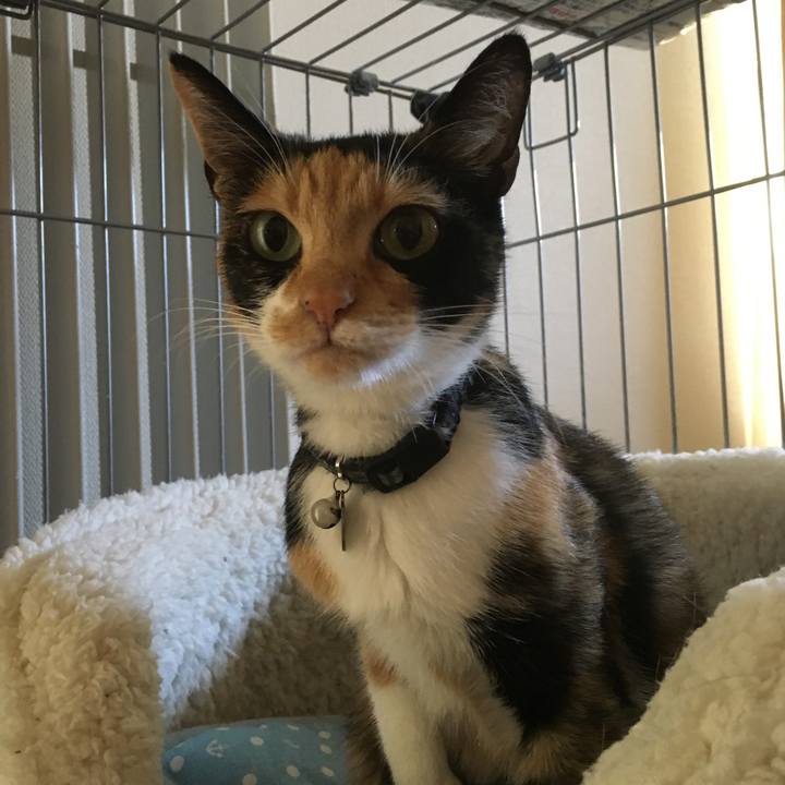 810f197c b4a3 443c 86de e1aef797e87d