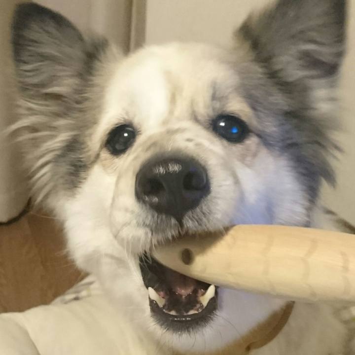 810fbab9 9e81 40e1 a7d0 787563af6177