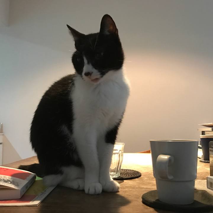 810fd86f e938 42f7 b1b7 947980349669