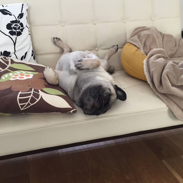 8110371d 5a05 4e70 b89c e531db0c1903