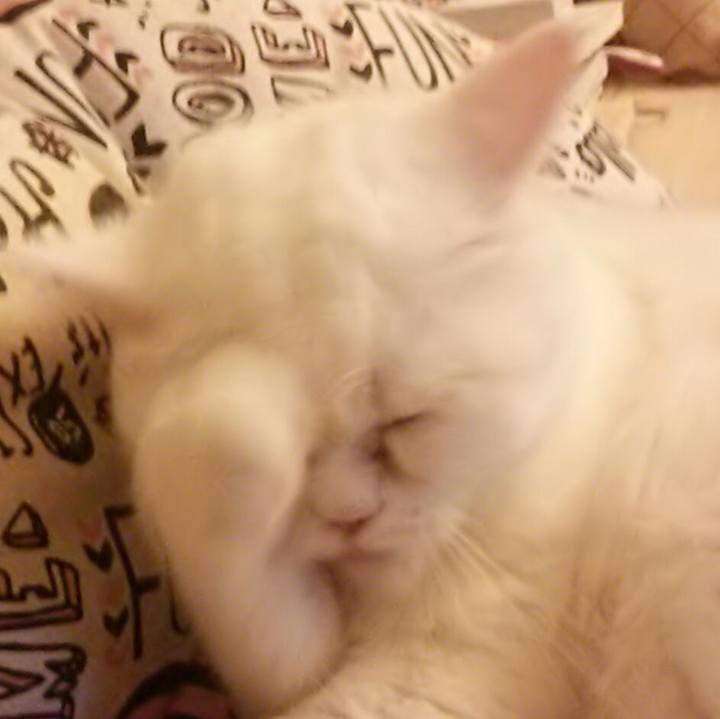 8110d7f2 456c 4820 a354 661b8b077ed7