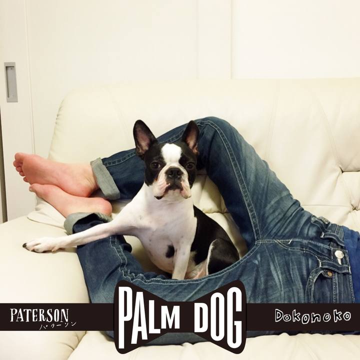 811125cd d09f 4e52 a87c e27849e82ef4