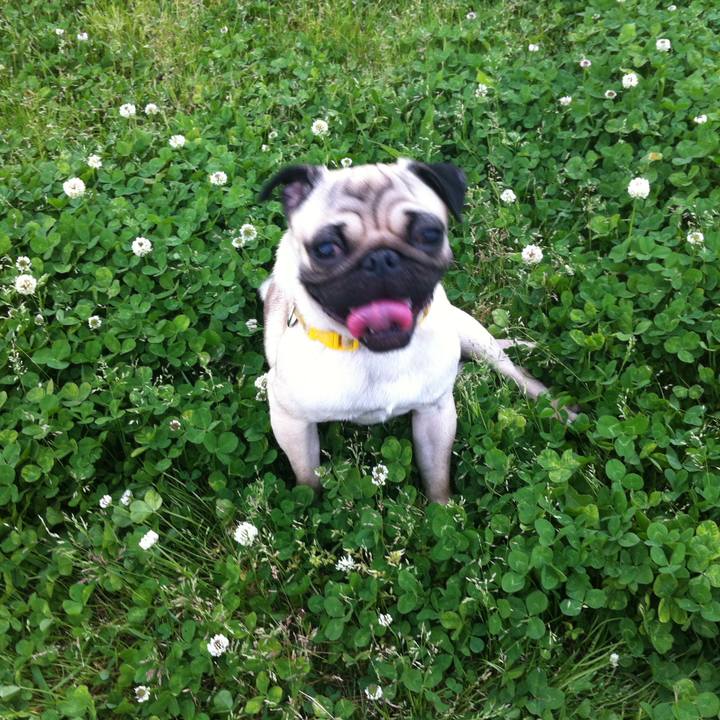 81114c40 ade1 447e 9911 706ad5a24676