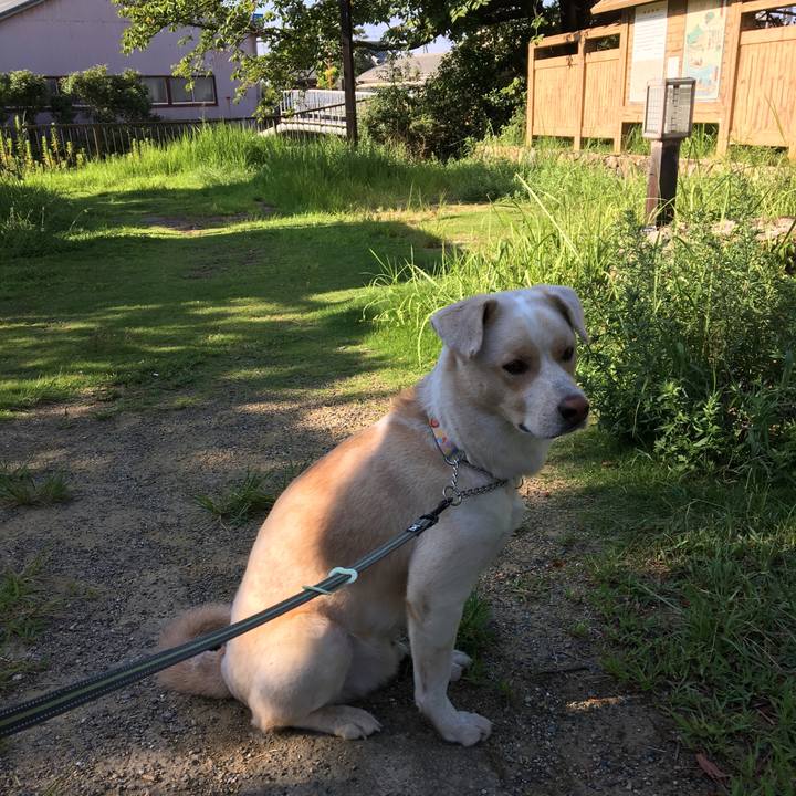 8111de05 42e0 45ea 8d76 b21dd38e0a60