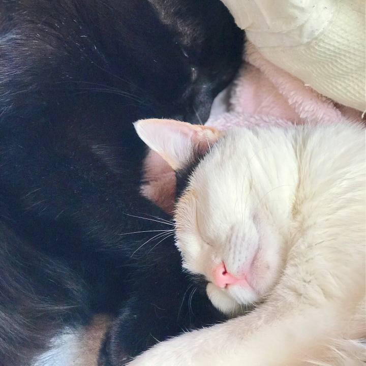 8111ea9c 6f5e 460c 87aa bcbf6deb810c