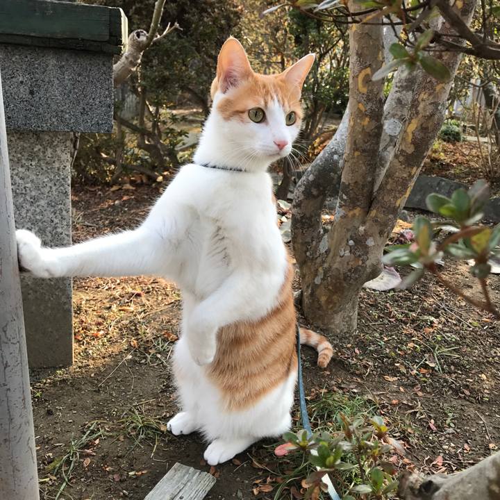 81120ca7 401a 4e37 b4b9 1adffb24a960