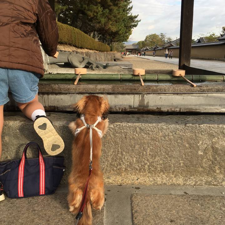 811234a3 c789 4ef3 bb12 e0eabf058669