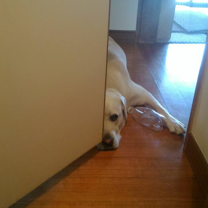 8112e26e 7862 4caa a564 945f19525d9e