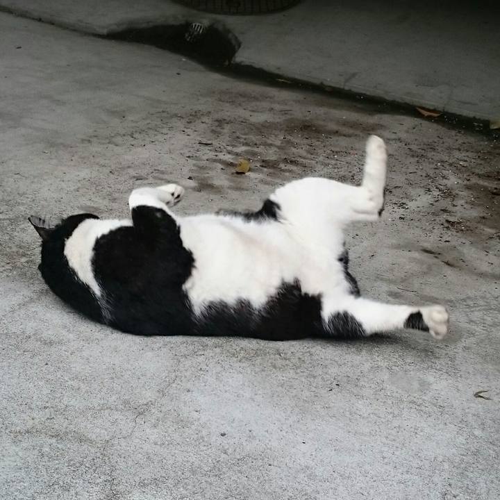 8112e48a 6539 49d8 9f5f b84c329b2ff3