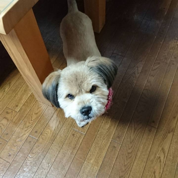 8112fa63 7a66 4987 8067 791673f77d80