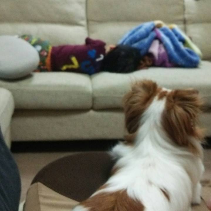 8113159d fa47 4f0d 9bcd 59b2ec6dccd5