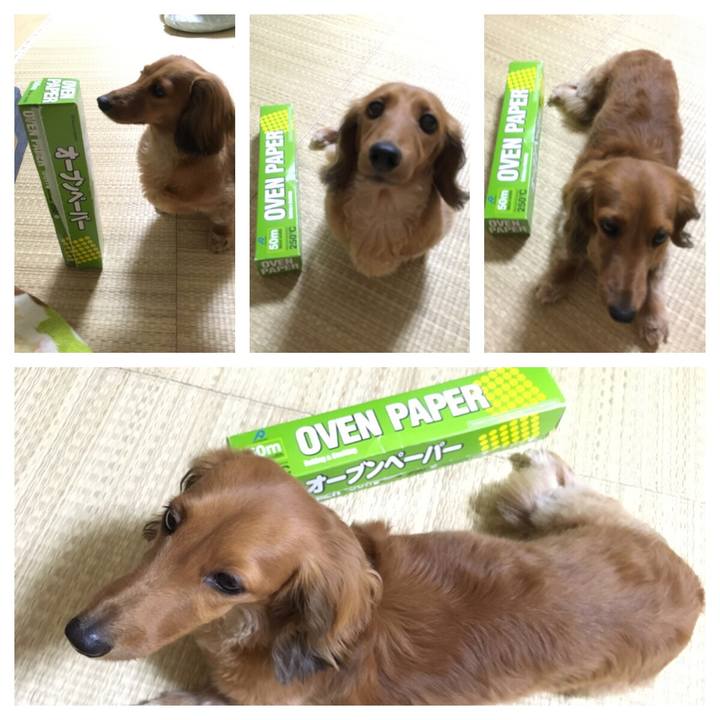 81133745 78eb 4223 a598 87e7409e18d5