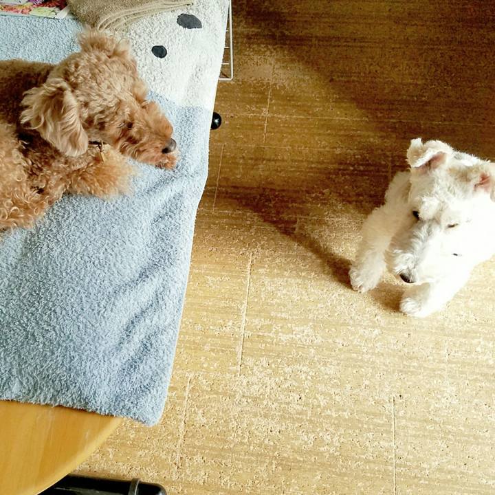 81137042 d415 48f6 8ce8 88fb381c4977